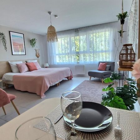 Apartamento L'AMAZONIE - ROISSY CDG - Parc Astérix - Paris Moussy-le-Neuf Exterior foto
